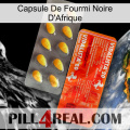 Africa Black Ant Capsule new01